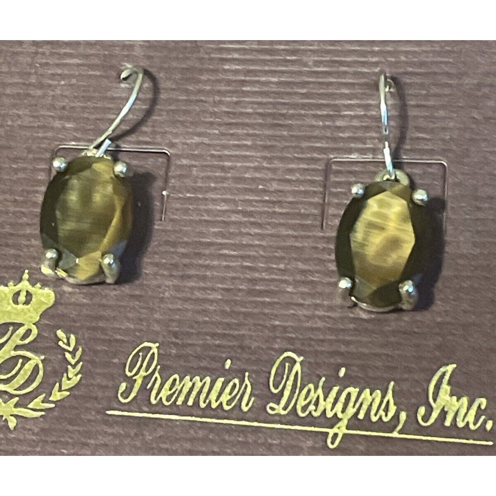 Premier Designs Retired Solano 2007 Silver tone Dangle Earrings NEW
